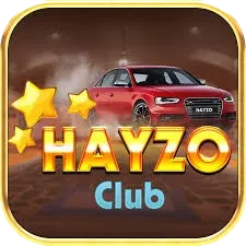 hayzo.net